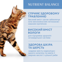 Optimeal Immunity Support Mix Adult набір 3+1 вологий корм для котів 4*85 г - тріска та овочі