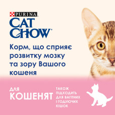 Сухий корм CAT CHOW Kitten для кошенят, з куркою, 15 кг