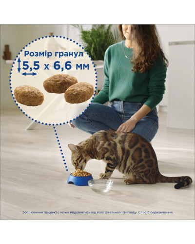 Сухий корм CAT CHOW Urinary для дорослих котів для підтримки здоров'я сечовивідної системи, з куркою, 15 кг