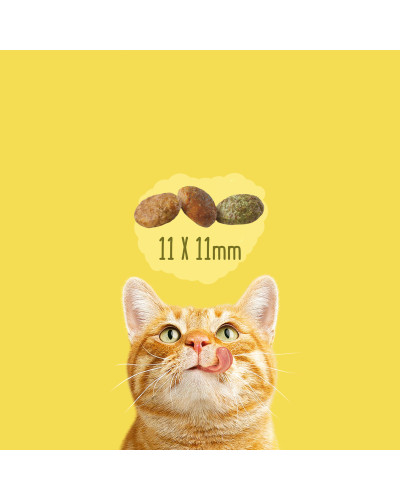 Сухий корм FRISKIES Indoor для дорослих котів що постійно перебувають у приміщенні, з куркою та індичкою, з овочами, 1,5 кг
