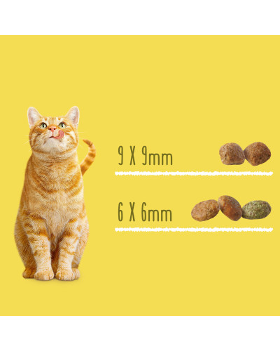 Сухой корм FRISKIES Sterilized для взрослых стерилизованных кошек, с лососем, тунцом и овощами, 10 кг