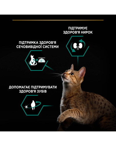 Сухий корм PRO PLAN Sterilised Adult 1+ Renal Plus для дорослих стерилізованих котів, з індичкою, 3 кг