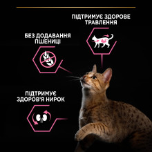Сухий корм PRO PLAN Adult 1+ Delicate Digestion для дорослих котів з чутливою травною системою, з індичкою, 400 г
