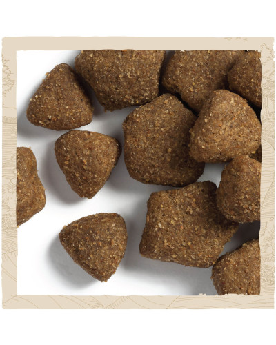 Сухой корм DOG CHOW Adult 1+ для взрослых собак, с ягненком, 2,5 кг