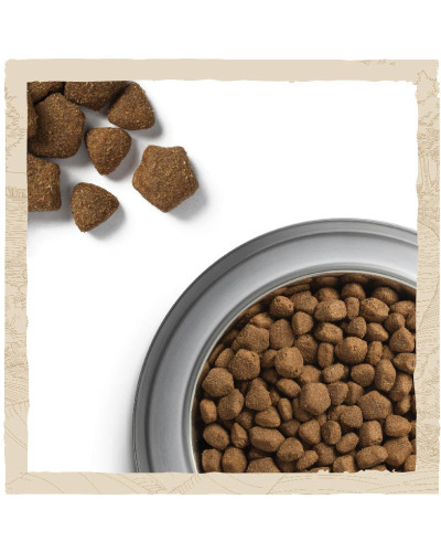 Сухой корм DOG CHOW Adult 1+ для взрослых собак, с ягненком, 2,5 кг