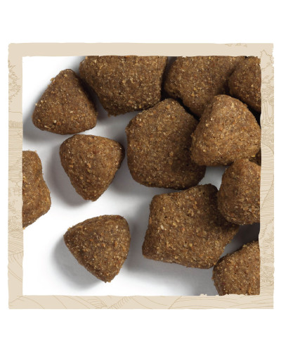 Сухой корм DOG CHOW Adult 1+ для взрослых собак, с ягненком, 14 кг