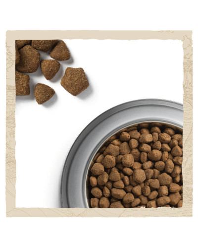 Сухой корм DOG CHOW Adult 1+ для взрослых собак, с ягненком, 14 кг