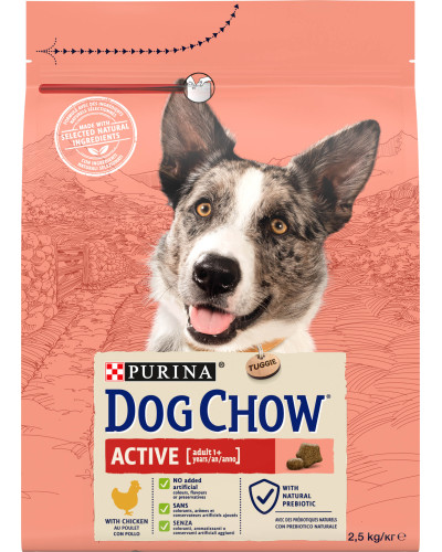 Сухой корм DOG CHOW Active Adult 1+ для взрослых собак с повышенной активностью, с курицей, 2,5 кг
