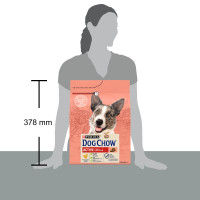 Сухой корм DOG CHOW Active Adult 1+ для взрослых собак с повышенной активностью, с курицей, 2,5 кг