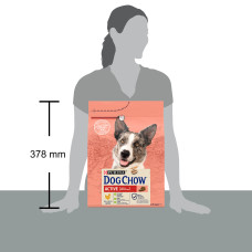 Сухой корм DOG CHOW Active Adult 1+ для взрослых собак с повышенной активностью, с курицей, 2,5 кг