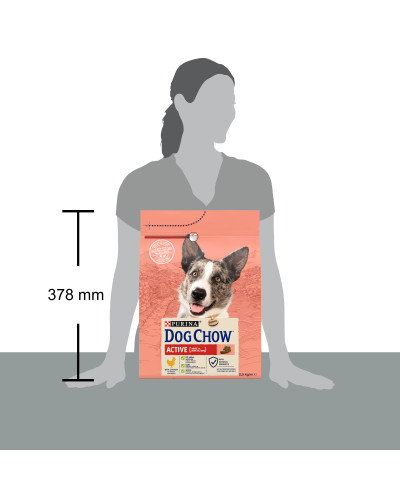 Сухой корм DOG CHOW Active Adult 1+ для взрослых собак с повышенной активностью, с курицей, 2,5 кг
