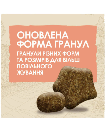 Сухой корм DOG CHOW Active Adult 1+ для взрослых собак с повышенной активностью, с курицей, 2,5 кг