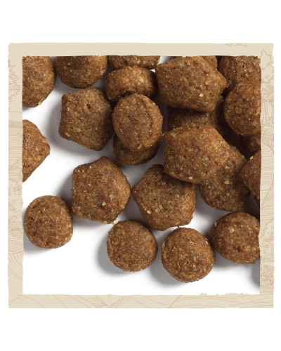 Сухий корм DOG CHOW Puppy 1 для цуценят, з ягням, 14 кг