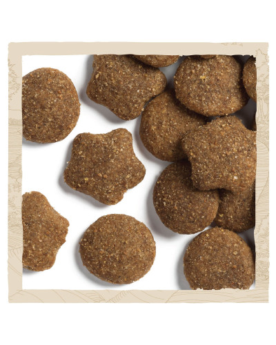 Сухий корм DOG CHOW Large Breed Puppy 2 для цуценят, з індичкою, 14 кг