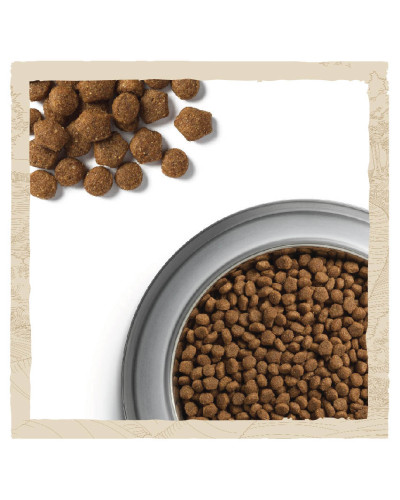 Сухий корм DOG CHOW Large Breed Puppy 2 для цуценят, з індичкою, 14 кг