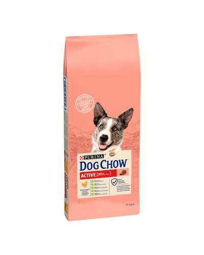 Сухий корм DOG CHOW Active Adult 1+ для дорослих собак з підвищеною активністю, з куркою, 14 кг