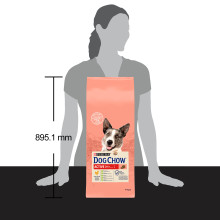 Сухой корм DOG CHOW Active Adult 1+ для взрослых собак с повышенной активностью, с курицей, 14 кг