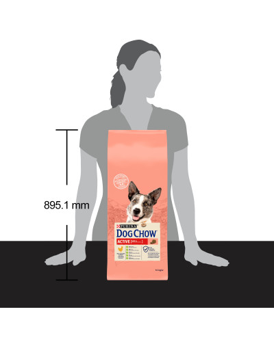 Сухий корм DOG CHOW Active Adult 1+ для дорослих собак з підвищеною активністю, з куркою, 14 кг