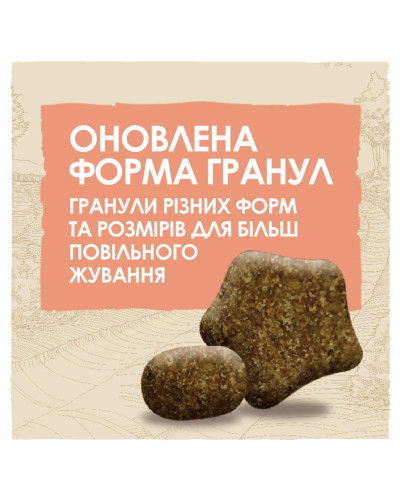 Сухий корм DOG CHOW Active Adult 1+ для дорослих собак з підвищеною активністю, з куркою, 14 кг