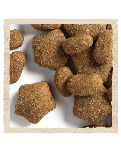 Сухой корм DOG CHOW Sensitive Adult 1+ для взрослых собак склонных к аллергии, с лососем, 14 кг