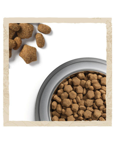 Сухой корм DOG CHOW Sensitive Adult 1+ для взрослых собак склонных к аллергии, с лососем, 14 кг