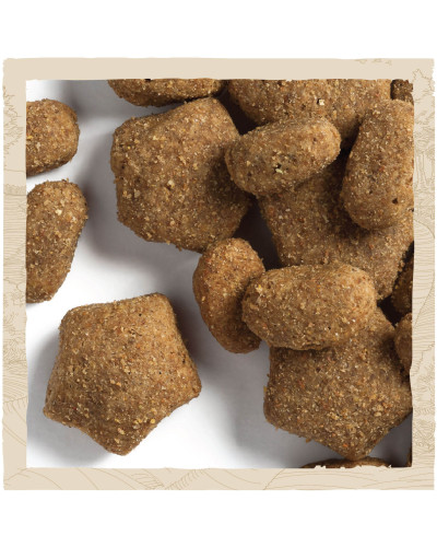 Сухой корм DOG CHOW Sensitive Adult 1+ для взрослых собак склонных к аллергии, с лососем, 2,5 кг