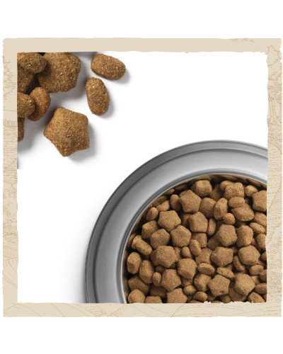 Сухой корм DOG CHOW Sensitive Adult 1+ для взрослых собак склонных к аллергии, с лососем, 2,5 кг