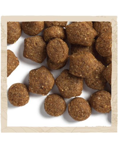 Сухий корм DOG CHOW Puppy 1 для цуценят, з ягням, 2,5 кг