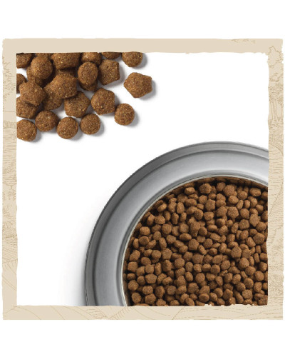 Сухий корм DOG CHOW Puppy 1 для цуценят, з ягням, 2,5 кг