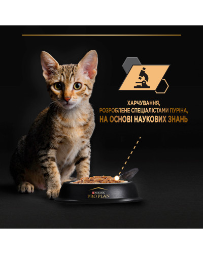 Влажный корм PRO PLAN Kitten Healthy Start для котят, кусочки в соусе, с индейкой, 10x85 г