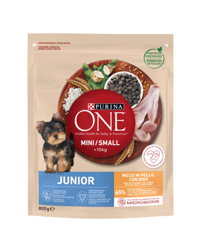 Сухой корм PURINA ONE Mini/Small Junior для щенков мелких пород, с курицей, 800 г