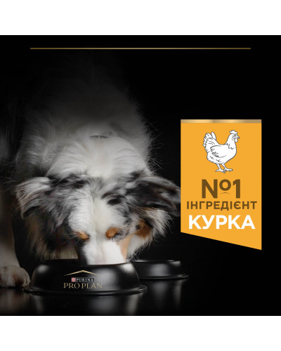 Сухий корм PRO PLAN Medium Adult 1+ Everyday Nutrion для дорослих собак середніх порід, з куркою, 3 кг