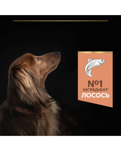 Сухий корм PRO PLAN Small&amp;amp;amp;Mini Adult 1+ Sensitive Skin для дорослих собак дрібних порід, з чутливою шкірою, з лососем, 3 кг