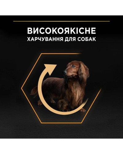 Сухой корм PRO PLAN Small&amp;amp;amp;Mini Adult 1+ Everyday Nutrion для взрослых собак мелких пород, с курицей, 3 кг