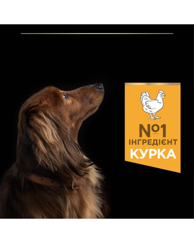 Сухой корм PRO PLAN Small&amp;amp;amp;Mini Adult 1+ Everyday Nutrion для взрослых собак мелких пород, с курицей, 3 кг