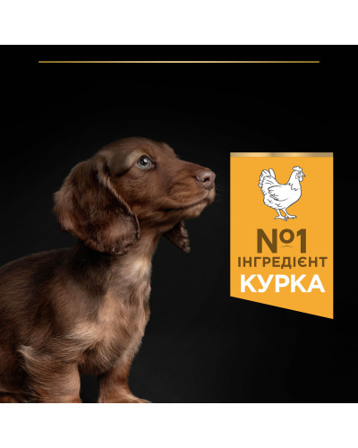 Сухой корм PRO PLAN Small &amp;amp;amp; Mini Puppy 1 Healthy Start для щенков мелких пород, с курицей, 700 г