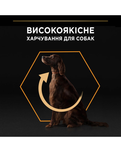 Сухий корм PRO PLAN Large Athletic Adult для дорослих собак великих порід атлетичної статури, з куркою, 16,5 кг