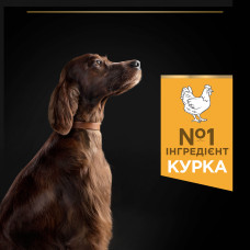Сухий корм PRO PLAN Large Athletic Adult для дорослих собак великих порід атлетичної статури, з куркою, 16,5 кг