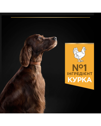 Сухий корм PRO PLAN Large Athletic Adult для дорослих собак великих порід атлетичної статури, з куркою, 16,5 кг