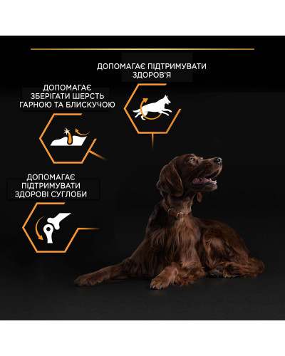Сухий корм PRO PLAN Large Athletic Adult для дорослих собак великих порід атлетичної статури, з куркою, 16,5 кг