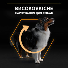Сухий корм PRO PLAN Medium Adult 1+ Everyday Nutrion для дорослих собак середніх порід, з куркою, 16,5 кг