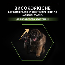 Сухий корм PRO PLAN Large Robust Puppy 2 Healthy Start для цуценят великих порід масивної статури, з куркою, 12 кг