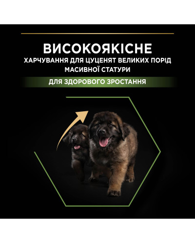Сухий корм PRO PLAN Large Robust Puppy 2 Healthy Start для цуценят великих порід масивної статури, з куркою, 12 кг