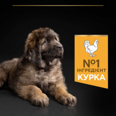 Сухий корм PRO PLAN Large Robust Puppy 2 Healthy Start для цуценят великих порід масивної статури, з куркою, 12 кг