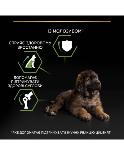 Сухий корм PRO PLAN Large Robust Puppy 2 Healthy Start для цуценят великих порід масивної статури, з куркою, 12 кг