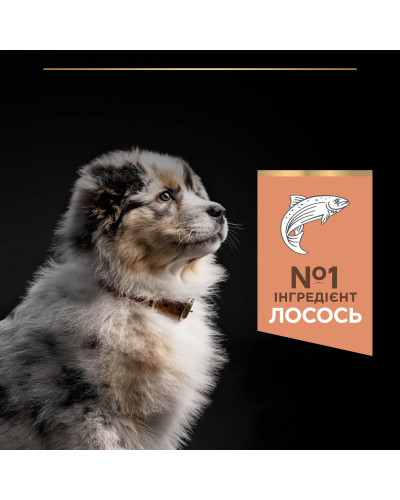 Сухой корм PRO PLAN Medium Puppy 1 Sensitive Skin для щенков средних пород с чувствительной кожей, с лососем, 12 кг