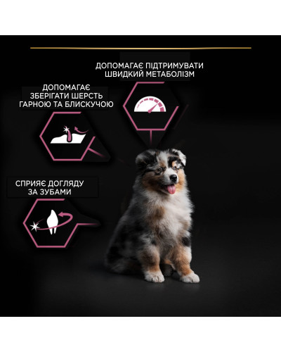 Сухой корм PRO PLAN Medium Puppy 1 Sensitive Skin для щенков средних пород с чувствительной кожей, с лососем, 12 кг