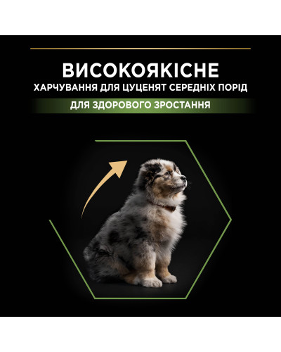 Сухой корм PRO PLAN Medium Puppy 1 Healthy Start для щенков средних пород, с курицей, 12 кг