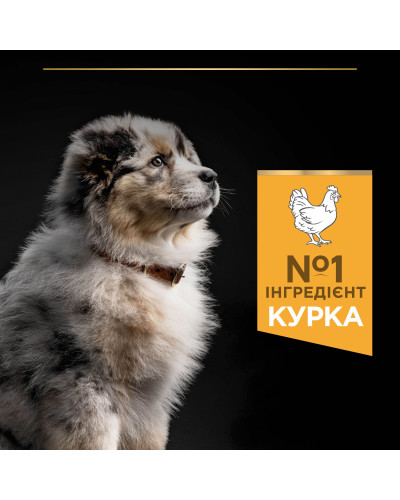 Сухой корм PRO PLAN Medium Puppy 1 Healthy Start для щенков средних пород, с курицей, 12 кг