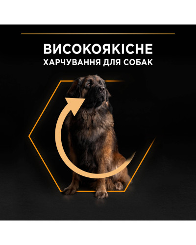 Сухий корм PRO PLAN Large Robust Adult 2+ Everyday Nutrion для дорослих собак великих порід масивної статури, з куркою, 14 кг